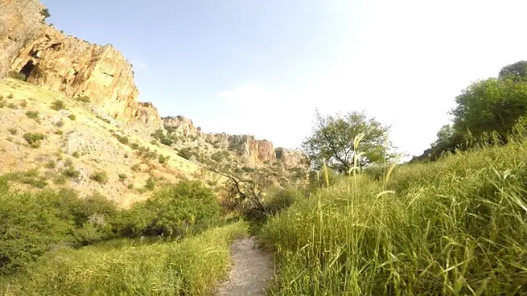 נחל עמוד